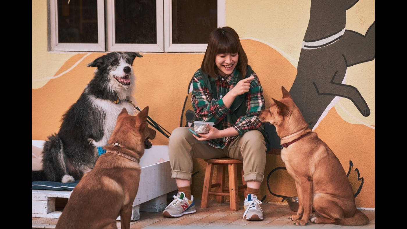 ma-news-5nov2024-1-12