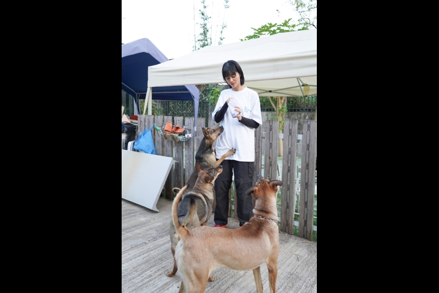 ma-news-14dec2024-43