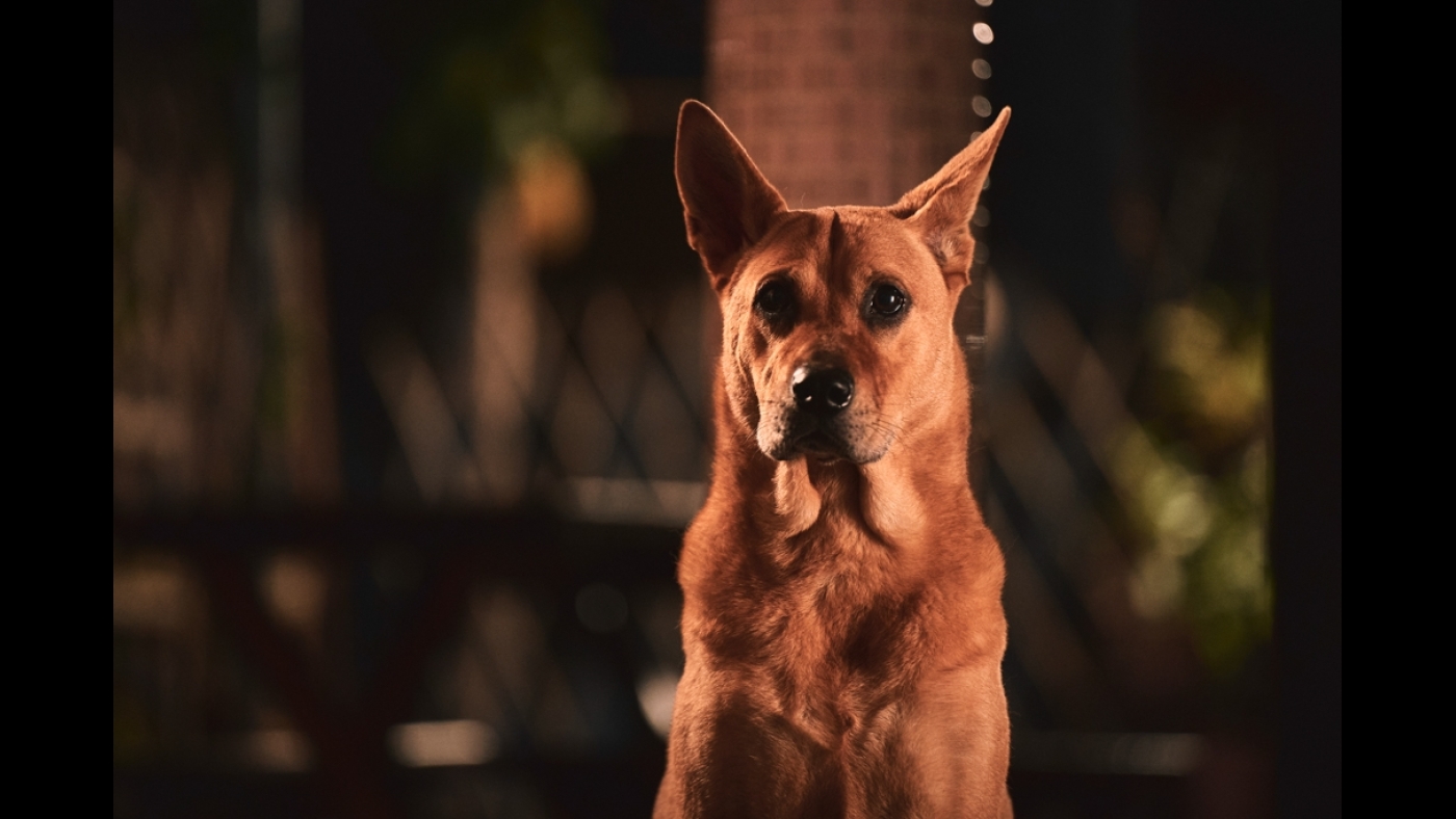 ma-news-5nov2024-1-9