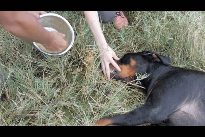 ma-news-23dec2024-29