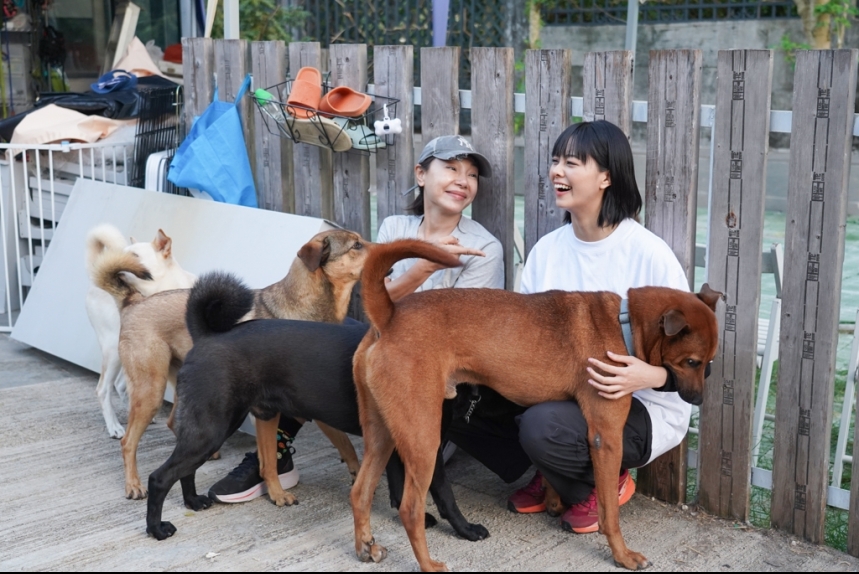 ma-news-14dec2024-36