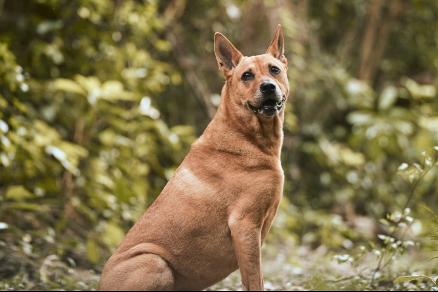 ma-news-23dec2024-12