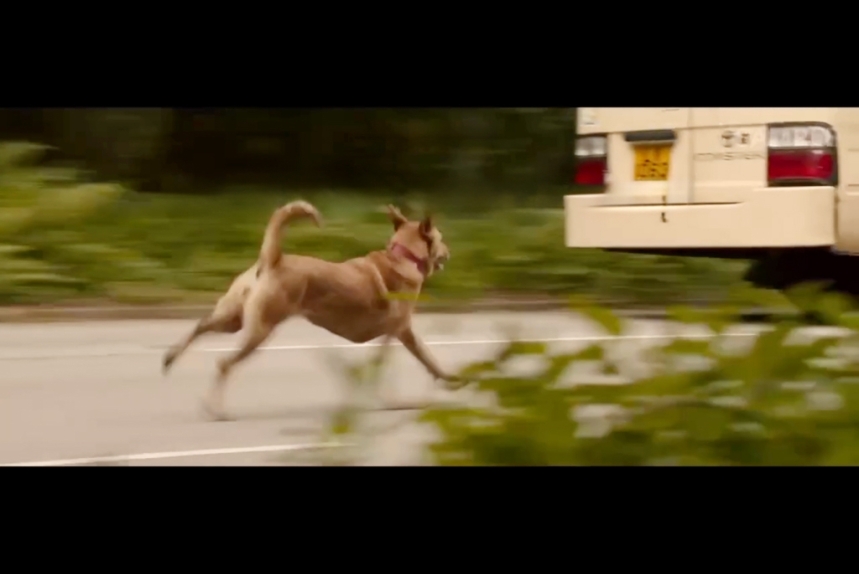 ma-news-10dec2024-17