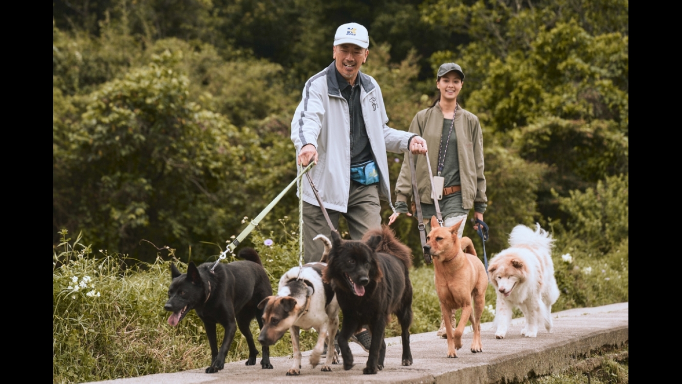 ma-news-5nov2024-1-10