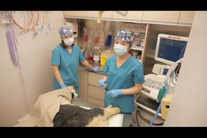 ma-news-23dec2024-21