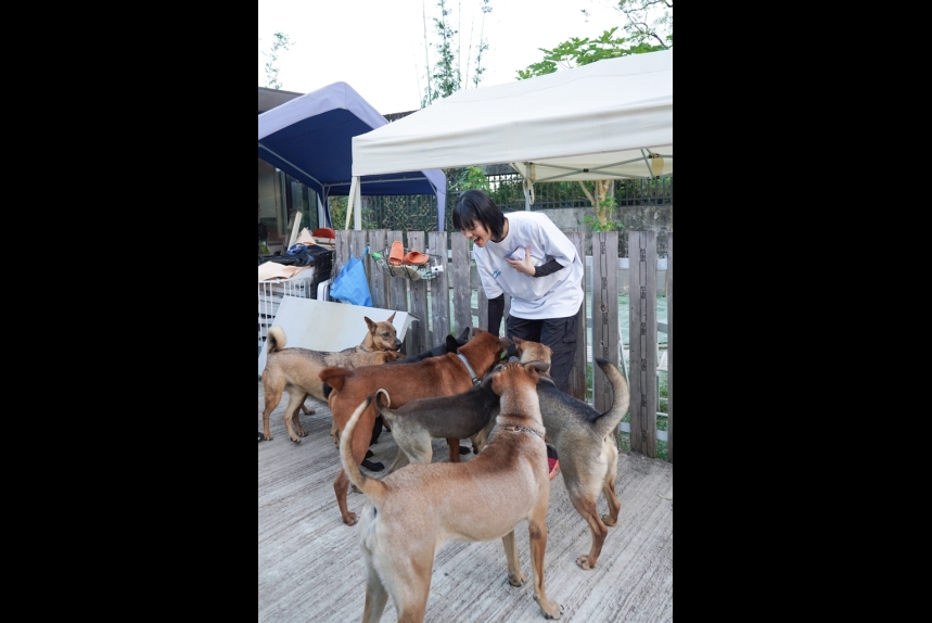 ma-news-14dec2024-47