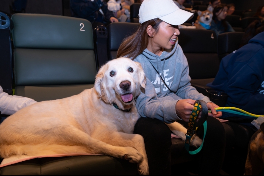 ma-news-16dec2024-2-6