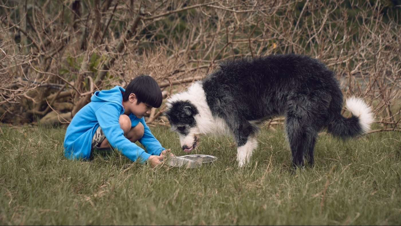 ma-news-5nov2024-1-22