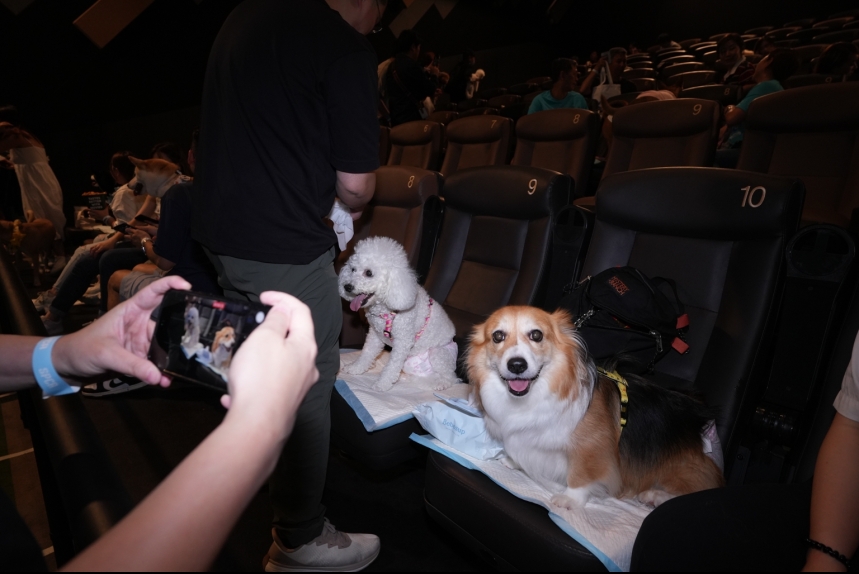 ma-news-10nov2024-37